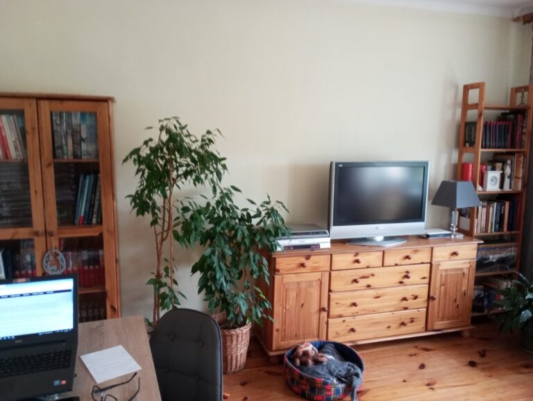 Bezstresowa Przeprowadzka z Abiś24