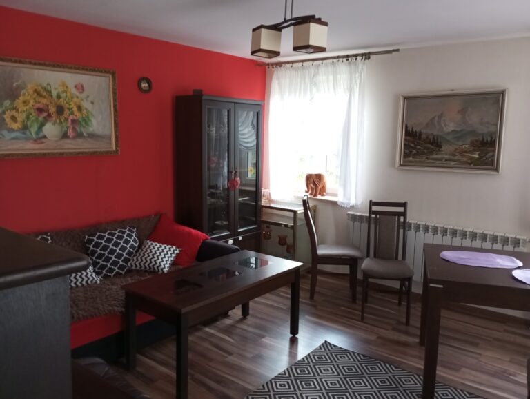 Przeprowadzki w Radomiu: Abiś24 – Twoja Pewność Szybkich i Tanich Przeprowadzek